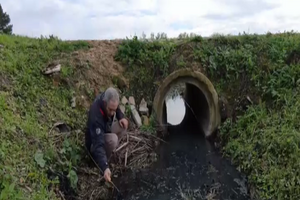 Investigação SÁBADO. Crime ambiental em Setúbal