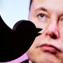 Twitter suspende contas de jornalistas. Elon Musk alega que filho foi perseguido