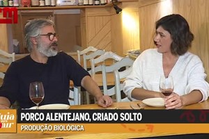 Guia Para Sair em Campo de Ourique