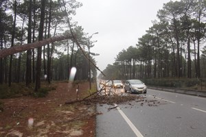 Quinta-feira: sete distritos do continente e Madeira com aviso amarelo devido à chuva