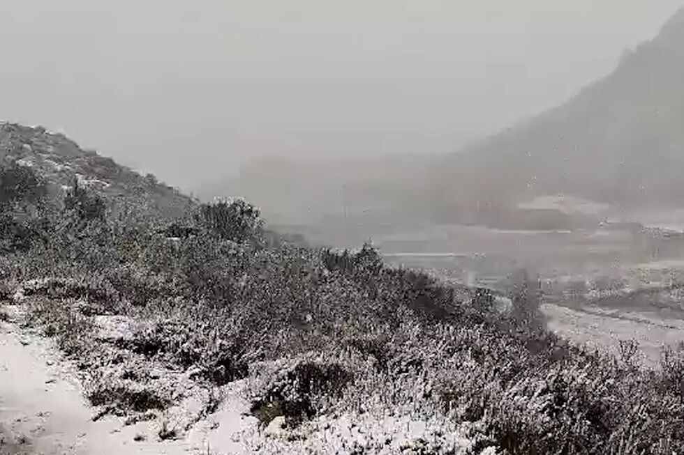 Neve deixa Bragança e Trás-os-Montes cobertos de branco