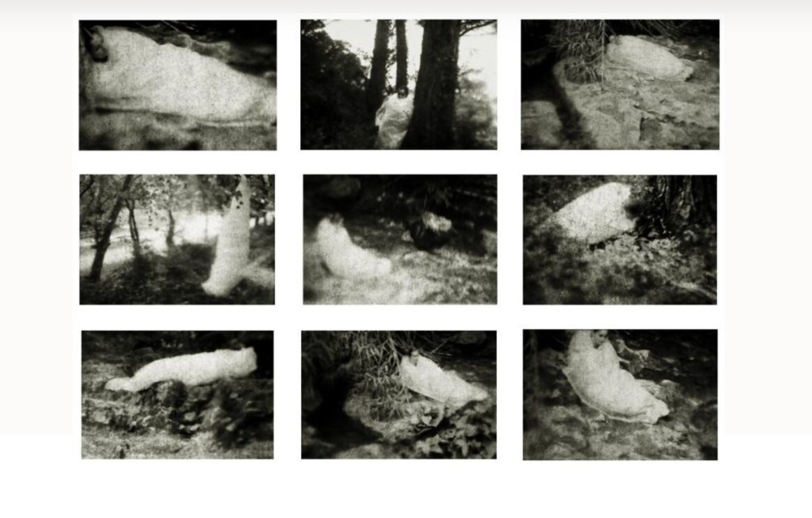  A Arte Chegou ao Colombo