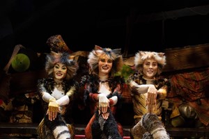 A história de 'Cats', que regressa a Portugal