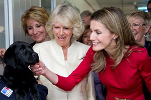 Não parece, mas Letizia não suporta animais