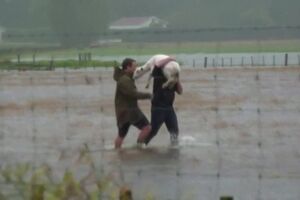 Ciclone deixa três mortos e mais de 10 500 desalojados na Nova Zelândia