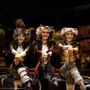 A história de 'Cats', que regressa a Portugal