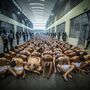 El Salvador transfere suspeitos de gangues para mega-prisão 
