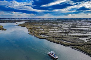 Aveiro e Ílhavo: a força de um povo
