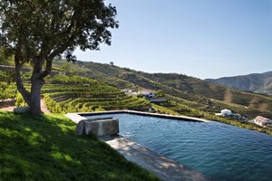 Quinta da Côrte: vinha nova, história antiga no Douro