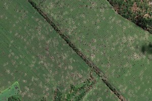 Ucrânia e o megadesastre ambiental em curso