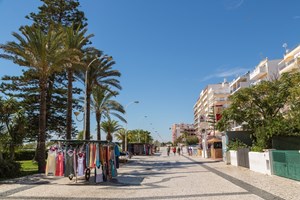 No Algarve, Monchique ou Monte Gordo?