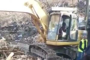 Imagens mostram cavalo a ser resgatado dos escombros 21 dias após sismos na Turquia