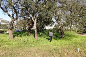 Investigação Sábado promo.mp4