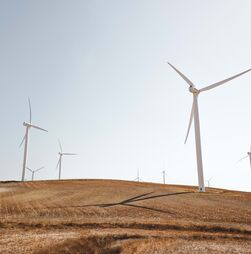 Portugal falha na maioria dos objetivos europeus de ambiente