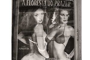 Dos gafanhotos à pornografia. Os impostos mais exóticos de Portugal 