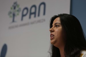 Inês de Sousa Real vai recandidatar-se à liderança do PAN