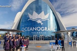 44 pessoas vítimas de intoxicação alimentar depois de provarem comida do MasterChef Espanha