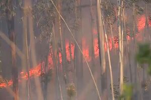 “Foi assustador”: grande incêndio em Amarante preocupa habitantes