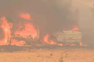 Perigo máximo de incêndio no Algarve e muito elevado no interior Norte e Centro