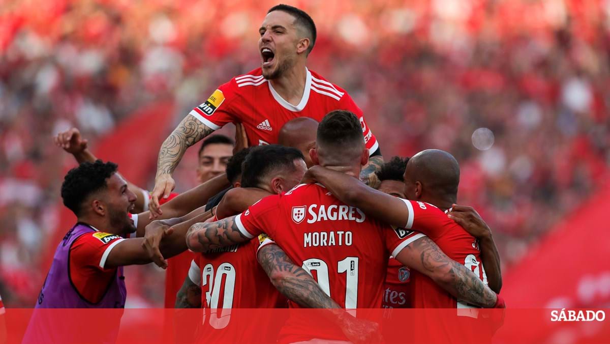 Travante não teve que esperar até às 3 da manhã, porque o resultado ficou  decidido mais cedo: Benfica está a uma vitória do título – Observador