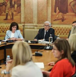 Comissão técnica aos incêndios ou comissão de inquérito. Qual a diferença?