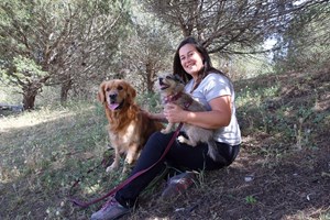 Há cada vez mais animais stressados