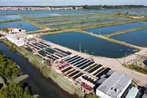 ALGAplus: heróis europeus da sustentabilidade
