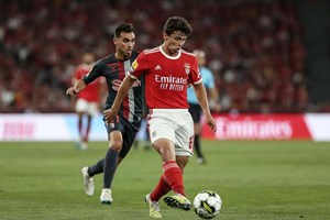 João Neves: a história da nova coqueluche do Benfica