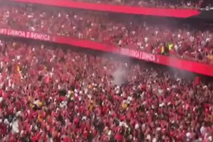 Benfica campeão: Seis detidos por tentarem vender bilhetes entre 100 e 500 euros