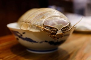 Comeria este ramen de 'barata-do-mar' gigante? 