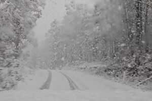 neve australia_ed.mp4