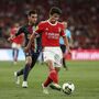 João Neves: a história da nova coqueluche do Benfica