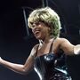 Tina Turner. Vítima, 'The Best' e 'Rainha do Rock 'n' Roll'