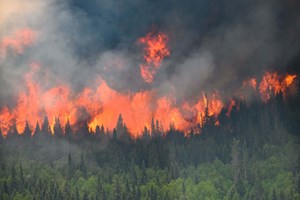 Portugal é o país da Europa em que alterações climáticas têm maior impacto 