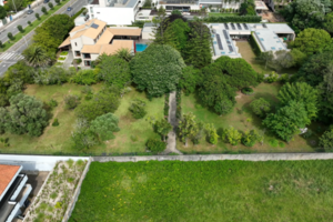 Investigação SÁBADO. Rui Moreira votou projeto que afeta a sua casa e o seu jardim