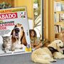 Viver com cães e gatos faz mesmo bem à saúde