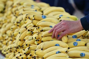 Alergias não mediadas: quando a reação só chega horas depois de comer 