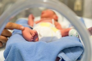 Ordem dos Médicos cria comissão para avaliar condições das maternidades do país