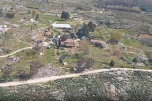 Seita Reino do Pineal arrisca perder guarda das crianças