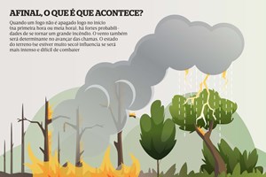 Como funcionam os “superincêndios”? 
