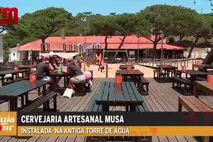 T2 EP26 GPS - GUIA PARA SAIR