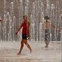 Como preparar Lisboa para o calor? Árvores, água e andar mais a pé são soluções 