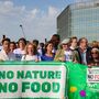 Lei da Recuperação da Natureza aprovada no Parlamento Europeu