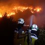 Frequência e intensidade dos incêndios florestais duplicaram nos últimos 20 anos 