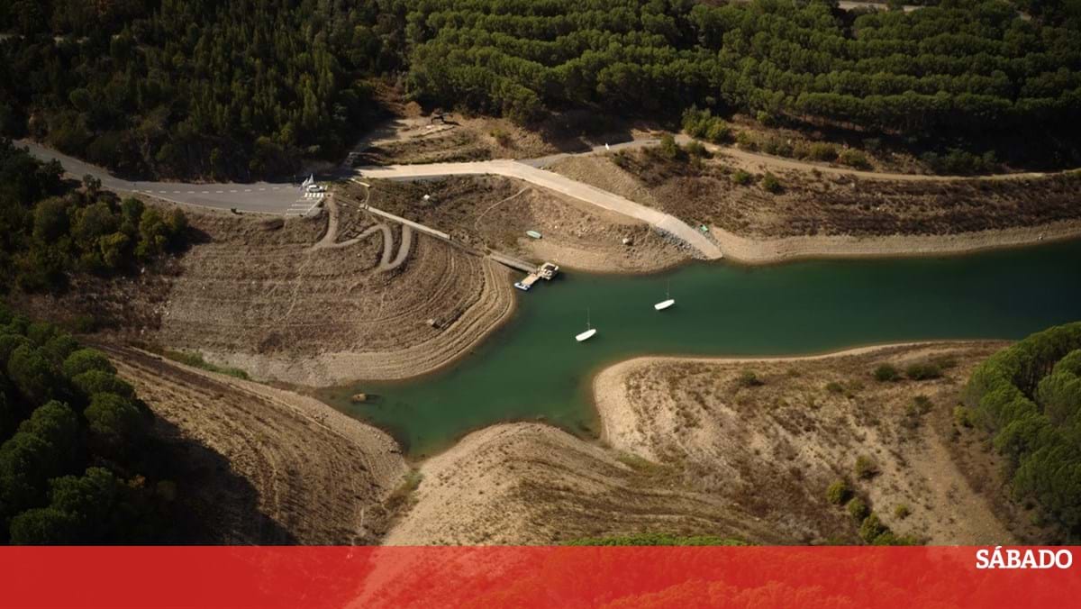 July was the fifth driest month in Portugal this century – Science & Health