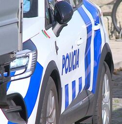 Maior sindicato da PSP decide a 3 de dezembro se apoia protesto durante a greve geral