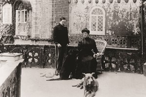 A história dos cães em Portugal. Algumas raças eram exclusivas das elites 