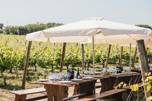 Vinhos que combinam com sol: os brancos e rosés deste verão