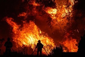 Fogo de Odemira atingiu 10 mil hectares e mantém duas frentes ativas