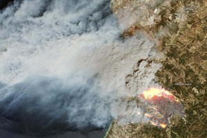 Reacendimento em Odemira mobiliza 144 bombeiros, 44 veículos e quatro meios aéreos